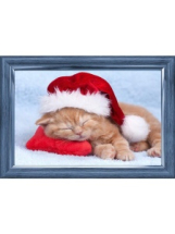 Набор для творчества Рыжий кот Холст с красками по номерам Спящий новогодний котёнок 40*50