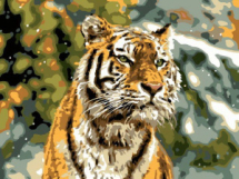 Набор для творчества LORI Картина по номерам холст на подрамнике Снежный тигр 30*40 см
