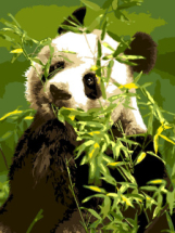 Набор для творчества LORI Картина по номерам "Панда"