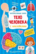 Книга АСТ Тело человека с наклейками