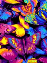 Набор для творчества LORI Картина по номерам "Бабочки"