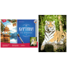 Набор для творчества LORI Картина по номерам холст на подрамнике 30*40 см "Гордый тигр"