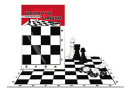 Настольная игра Рыжий кот Шахматы и шашки классические в пакете + поле 28,5х28,5 см